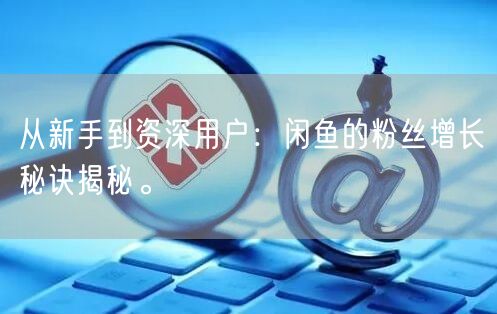 从新手到资深用户:闲鱼的粉丝增长秘诀揭秘。