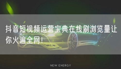 抖音短视频运营宝典在线刷浏览量让你火遍全网!