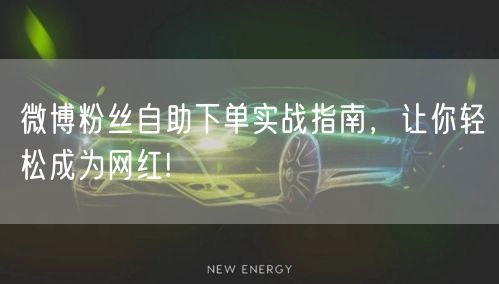微博粉丝自助下单实战指南，让你轻松成为网红!