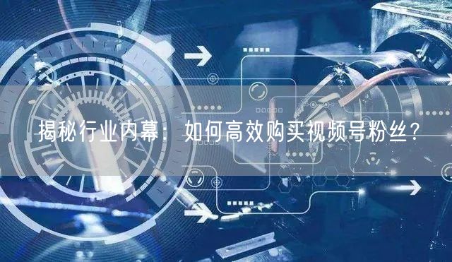 揭秘行业内幕：如何高效购买视频号粉丝？
