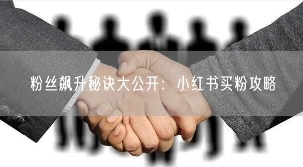 粉丝飙升秘诀大公开:小红书买粉攻略
