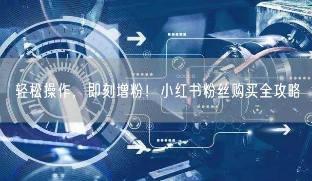 轻松操作,即刻增粉!小红书粉丝购买全攻略