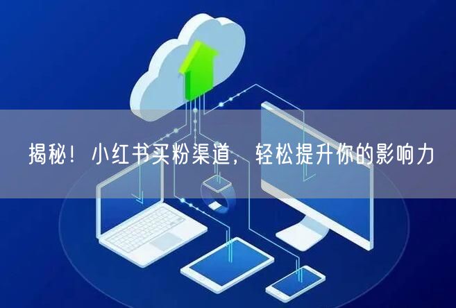 揭秘!小红书买粉渠道,轻松提升你的影响力
