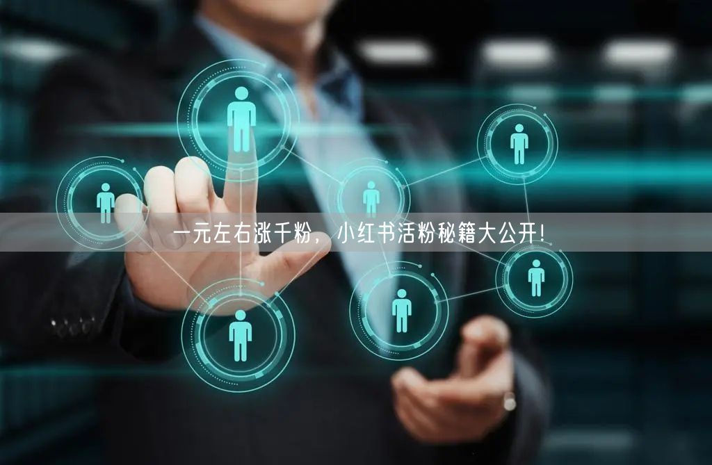 一元左右涨千粉,小红书活粉秘籍大公开!
