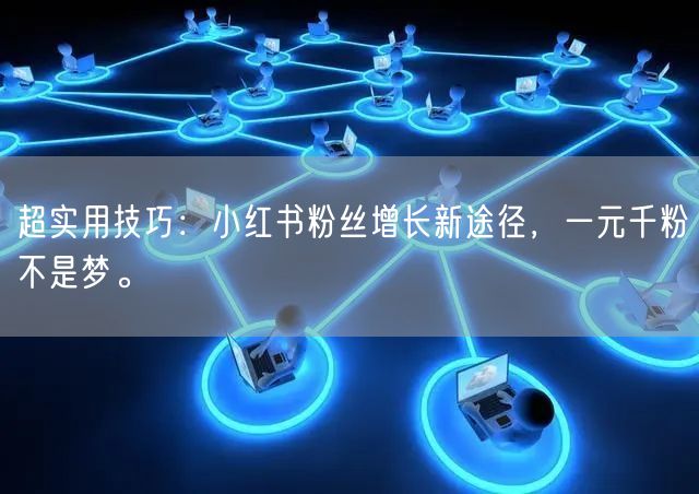 超实用技巧:小红书粉丝增长新途径,一元千粉不是梦。
