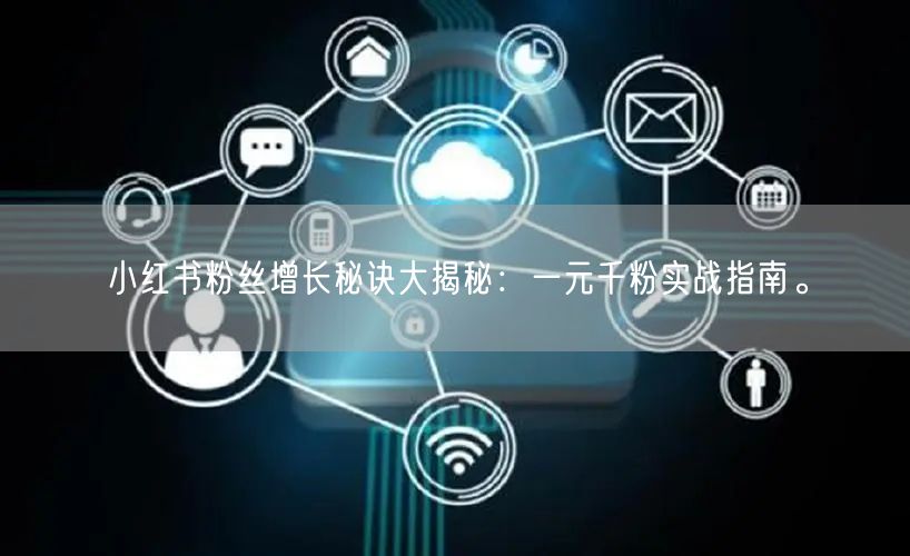 小红书粉丝增长秘诀大揭秘：一元千粉实战指南。