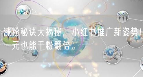 涨粉秘诀大揭秘，小红书推广新姿势！一元也能千粉翻倍。