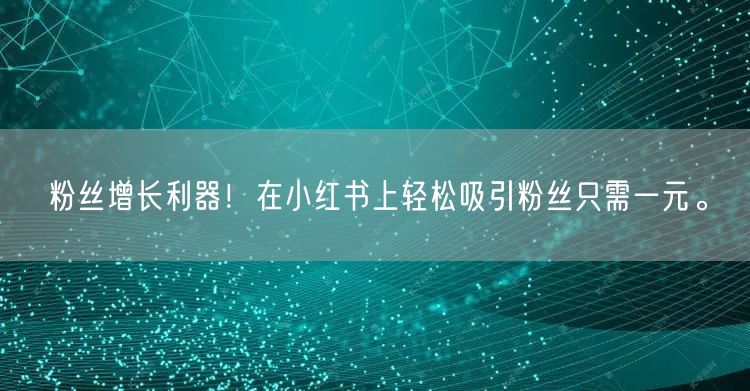 粉丝增长利器！在小红书上轻松吸引粉丝只需一元。