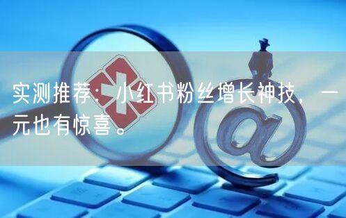 实测推荐:小红书粉丝增长神技,一元也有惊喜。