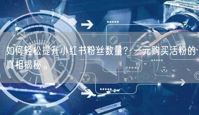如何轻松提升小红书粉丝数量?一元购买活粉的真相揭秘。
