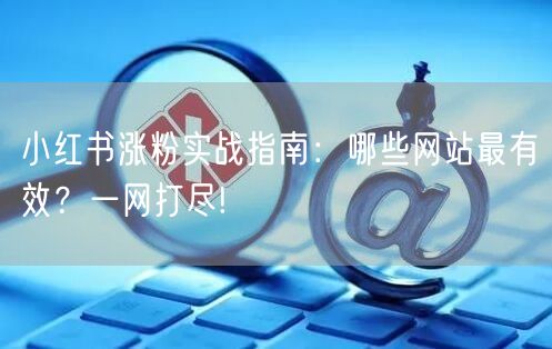 小红书涨粉实战指南：哪些网站最有效？一网打尽!