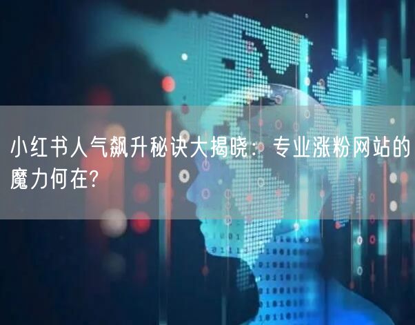 小红书人气飙升秘诀大揭晓：专业涨粉网站的魔力何在?