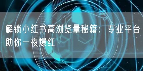 解锁小红书高浏览量秘籍：专业平台助你一夜爆红