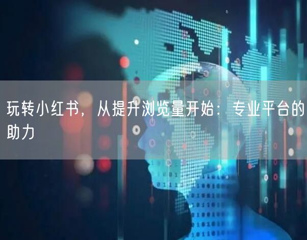 玩转小红书,从提升浏览量开始:专业平台的助力