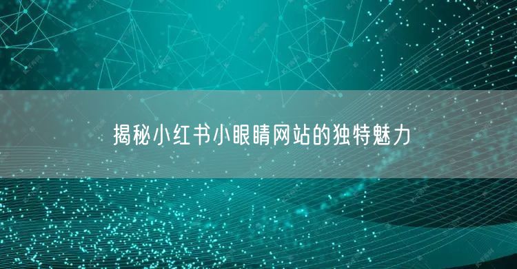 揭秘小红书小眼睛网站的独特魅力