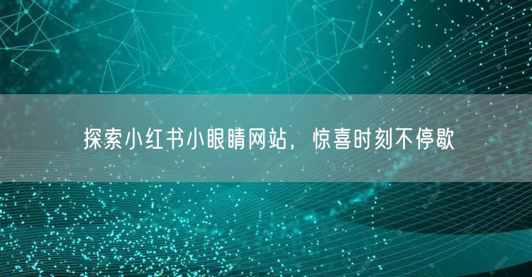 探索小红书小眼睛网站,惊喜时刻不停歇