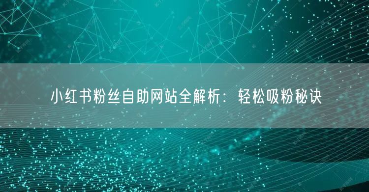 小红书粉丝自助网站全解析:轻松吸粉秘诀