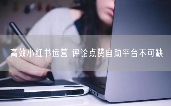 高效小红书运营 评论点赞自助平台不可缺