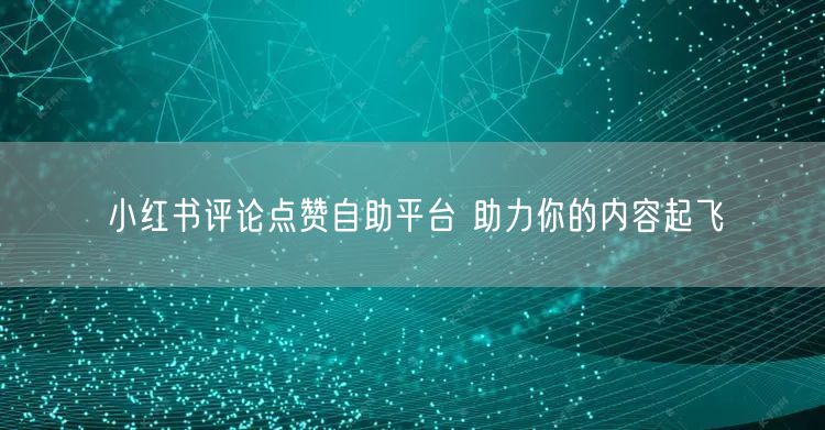 小红书评论点赞自助平台 助力你的内容起飞