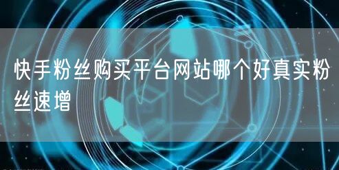 快手粉丝购买平台网站哪个好真实粉丝速增