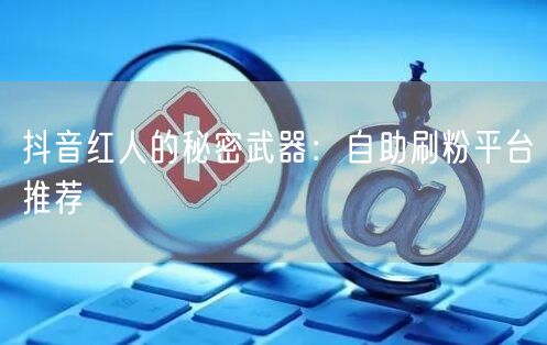 抖音红人的秘密武器：自助刷粉平台推荐