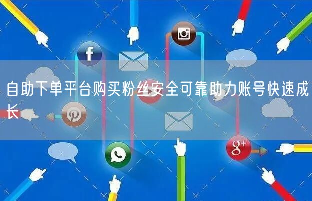 自助下单平台购买粉丝安全可靠助力账号快速成长