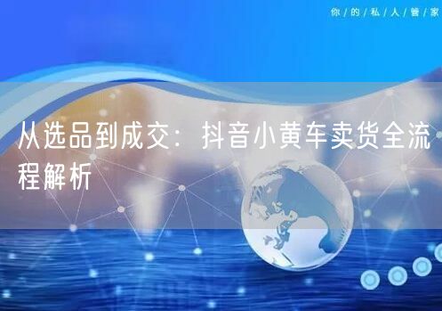 从选品到成交：抖音小黄车卖货全流程解析