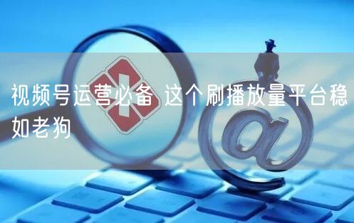视频号运营必备 这个刷播放量平台稳如老狗