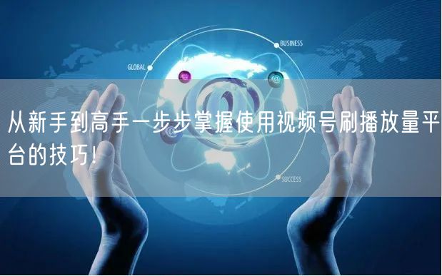从新手到高手一步步掌握使用视频号刷播放量平台的技巧！