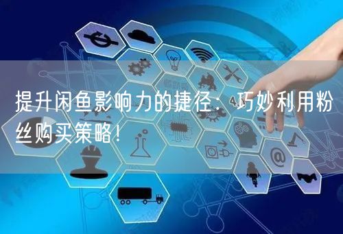 提升闲鱼影响力的捷径：巧妙利用粉丝购买策略！