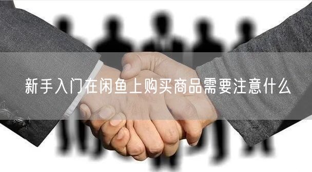 新手入门在闲鱼上购买商品需要注意什么