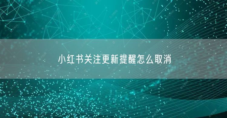 小红书关注更新提醒怎么取消