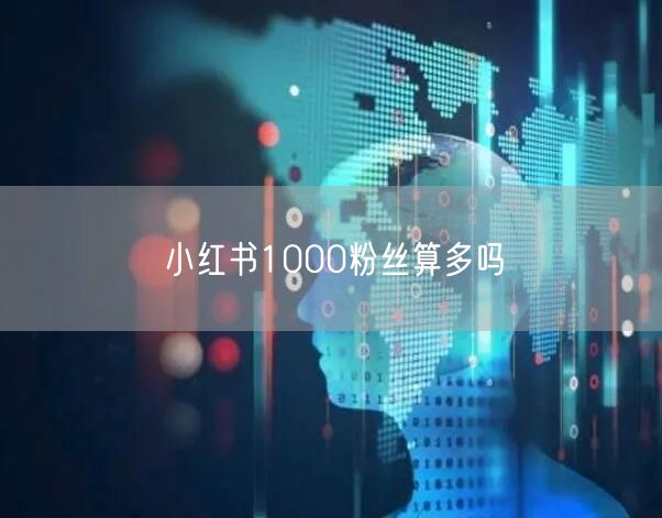 小红书1000粉丝算多吗