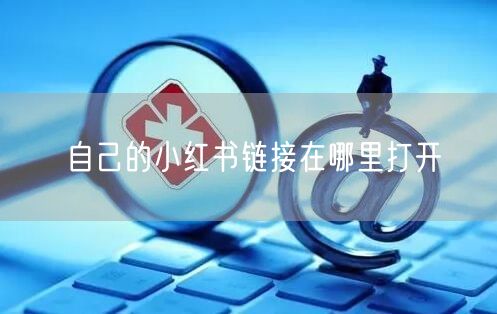 自己的小红书链接在哪里打开