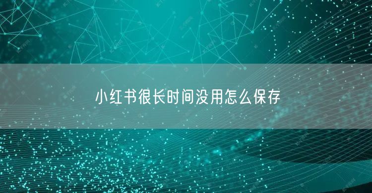 小红书很长时间没用怎么保存