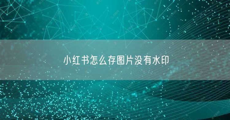 小红书怎么存图片没有水印