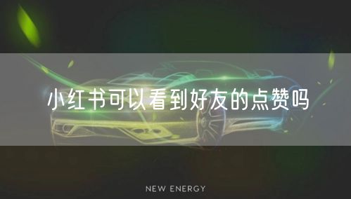 小红书可以看到好友的点赞吗